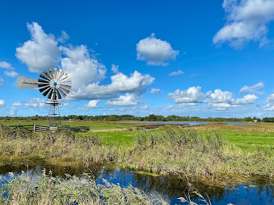De Alde Feanen National Park — fotografia 5