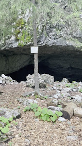Peștera Ghețarul de la Vârtop — fotografia 2