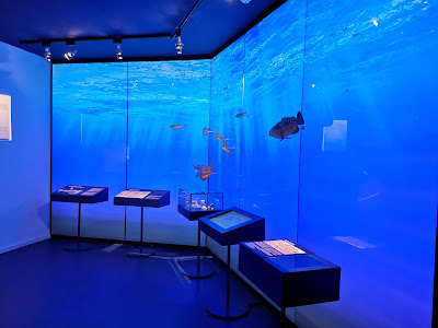 Museum of the village of Nerja — fotografia 3