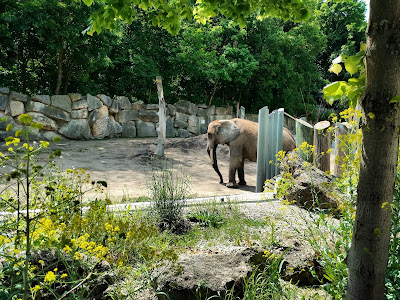 Grădina Zoologică Schönbrunn — fotografia 4