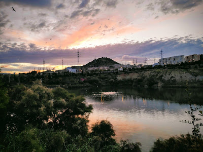 Parque la Laguna — fotografia 3