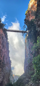 Farangi Aradainas