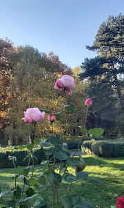 Parcul Casa Albă — fotografia 4