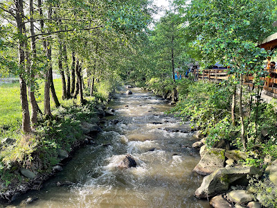 Camping Poieni — fotografia 4