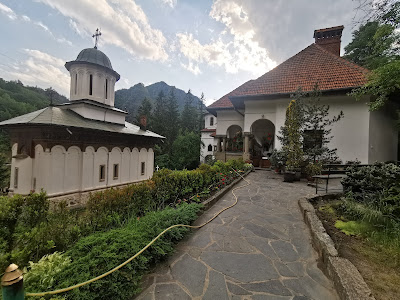 Mănăstirea Turnu — fotografia 3