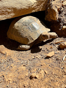 Kos Natural Park — fotografia 5