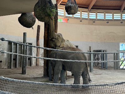 Zoo Tábor - A Fővárosi Állatkert Tábora — fotografia 4