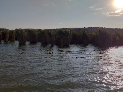 Lacul Vederoasa