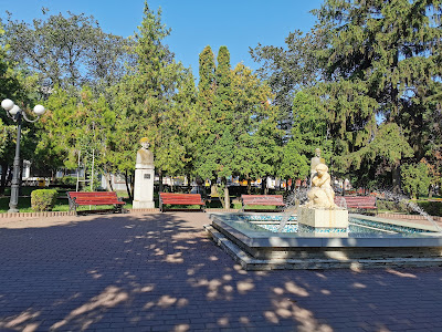 Muzeul "Vasile Pârvan" Bârlad — fotografia 5
