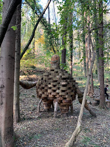 Sentiero Spirito Del Bosco — fotografia 5