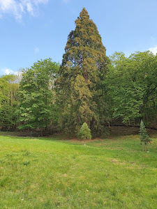 Wild Park Wernigerode Christianental — fotografia 3