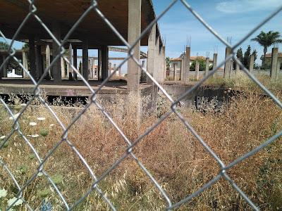 Pinar San Ginés Park — fotografia 3