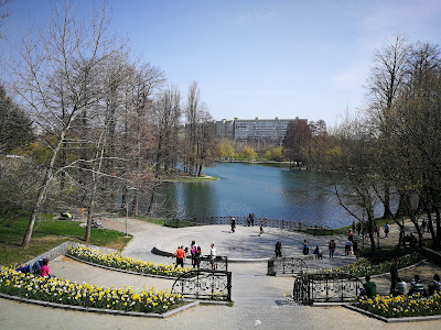 Parcul Alexandru Ioan Cuza — fotografia 3