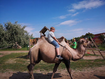 Bella Zoo Park, Siófok — fotografia 5
