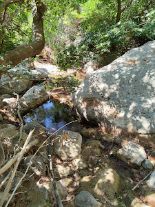 Pefki Gorge — fotografia 5