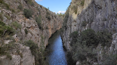 Ruta de los Pantaneros — fotografia 3