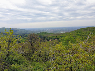 Muzsla Kilátó — fotografia 3