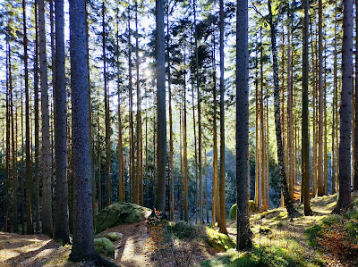 Nature reserve Boulders Dwarfs — fotografia 3