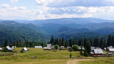 Poiana Călineasa — fotografia 4