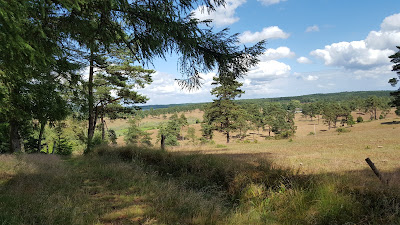 Egsmark Plantage