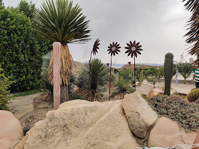 Cactus Níjar — fotografia 5