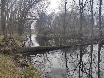 Las Sołtysowicki