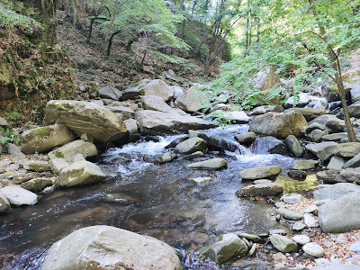Скални Пързалки , Храбрино