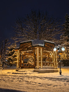 Parcul Tineretului — fotografia 3