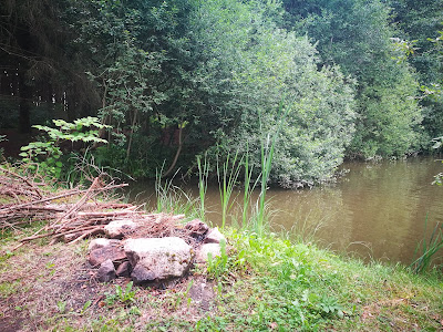 Autocamp Veveří — fotografia 5