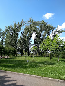 Parcul Lunca Argeșului — fotografia 3