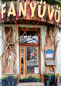 Fanyűvő restaurant — fotografia 5