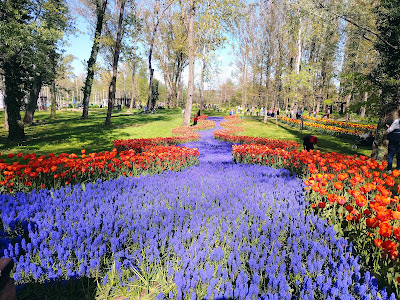 Parcul Lunca Argeșului — fotografia 5