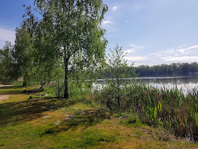 Dzika Plaża