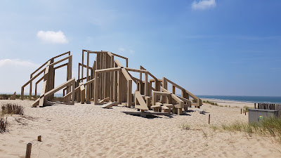 Strand maasvlakte — fotografia 3