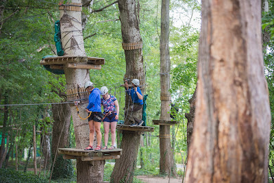 Kalandsziget - Tihany Kalandpark — fotografia 3
