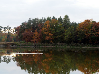 Glade with recreational place — fotografia 5