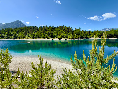 Urisee