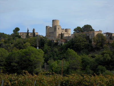 Castle of Castellet — fotografia 3