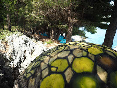 Pine Side Camp — fotografia 5