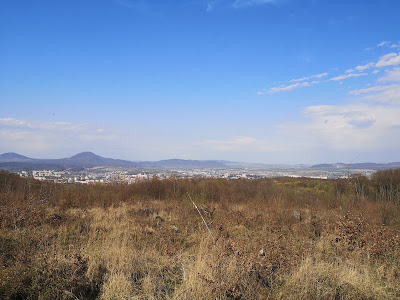 Malkovská hôrka