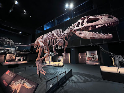 CosmoCaixa Museum of Science — fotografia 4