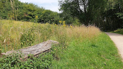 Umweltkultur Park