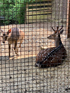 Malá Chuchle zoo — fotografia 5