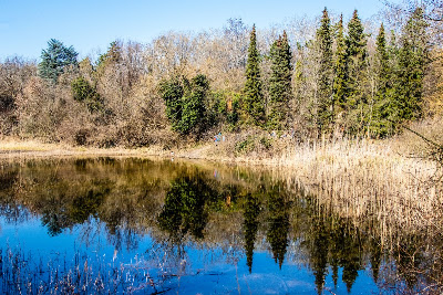 Botanical Garden, Soroksár — fotografia 5