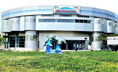 Delfinariu Constanta — fotografia 3