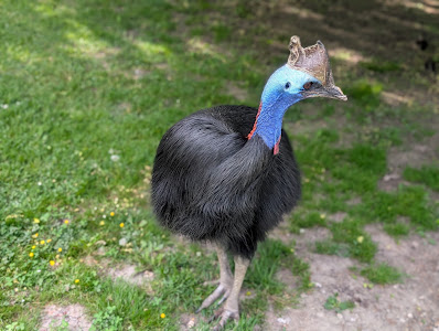 Vogel- und Tierpark Irgenöd — fotografia 3