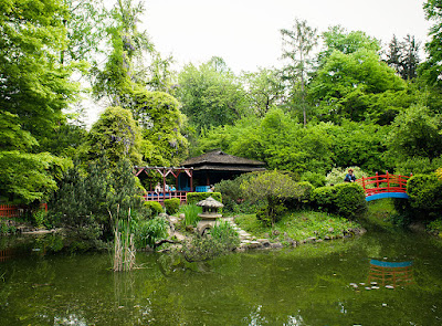 Grădina Botanică Alexandru Borza — fotografia 3