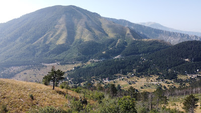 Rujište