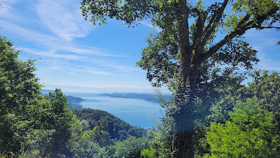Haldenhof Viewpoint