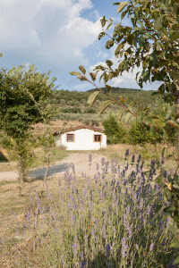 Camping Il Saregeto — fotografia 5